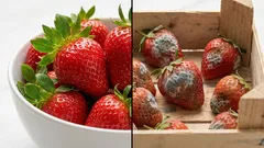 Tvätta inte dessa 3 livsmedel före förvaring om du vill att de ska hålla längre